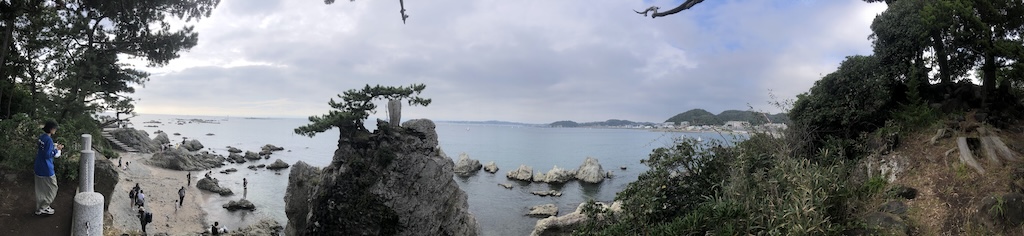 在海邊看著老樹吃點心。