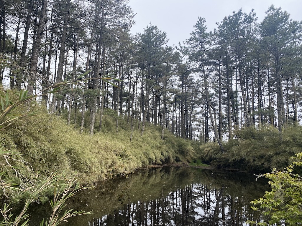抵達羅葉尾池，這次往內又走了一段。不過老實說…沒什麼特別之處🤣。