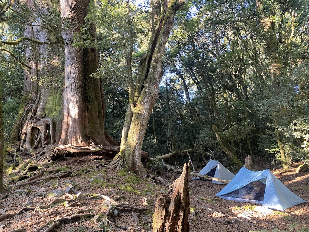 Durston X-Mid 1 & X-Mid Pro 1 by 羅馬神木.