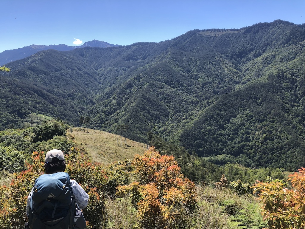 我要去南湖大山！